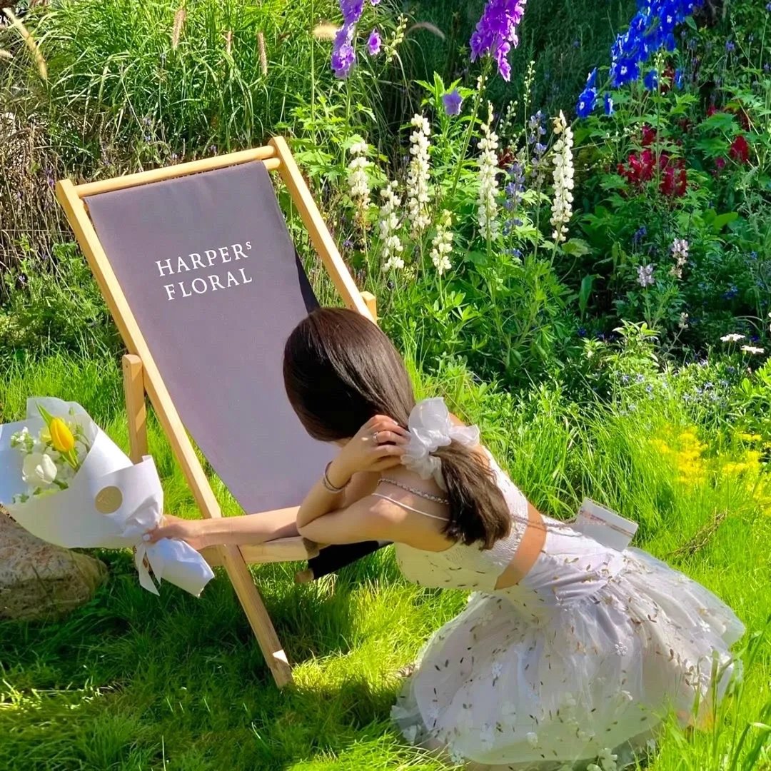 命运之夜前传第一季